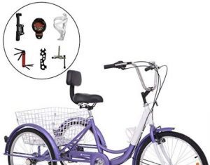 Top 10 Best Adult Tricycles in 2020 Reviews