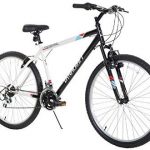 Top 10 Best Road & Mountain Bikes Reviews In 2020