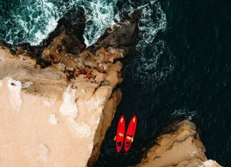 Complete Beginner’s Guide to Learning How to Kayak