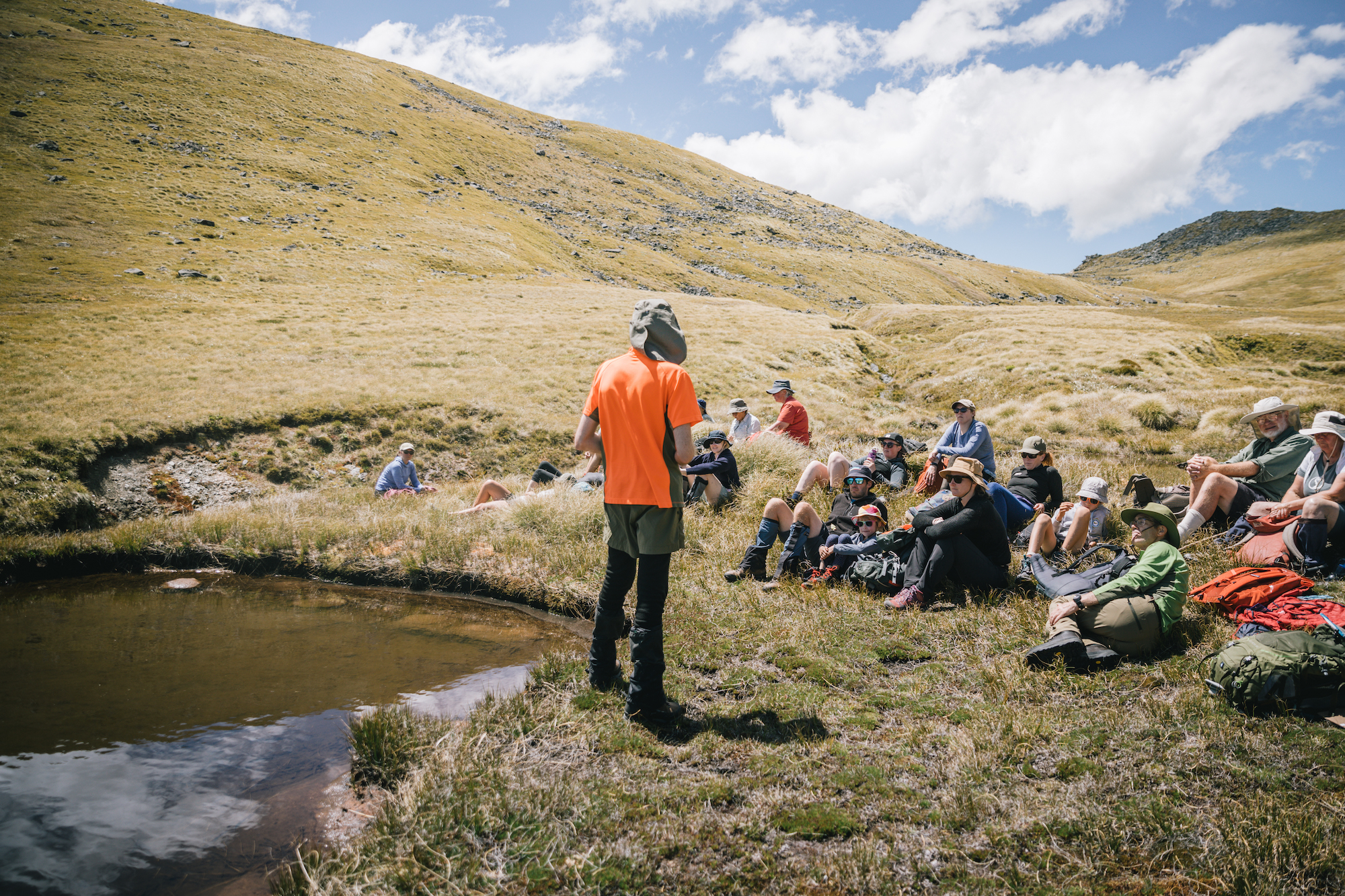 Botanizing in the Borland Valley: Fiordland’s best hidden gem