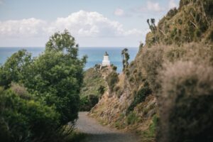 Where to relax and unwind in the Catlins