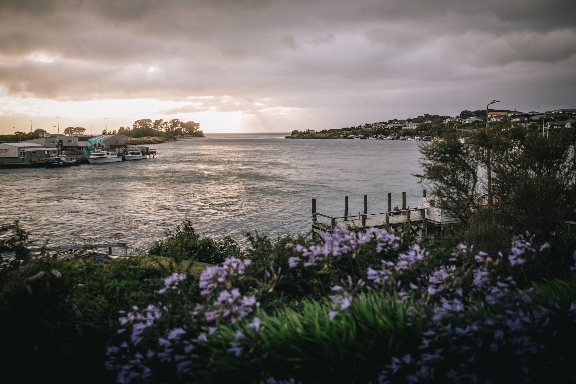 Returning to the southern seaside in Riverton