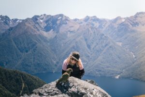 16 birds you might meet on New Zealand’s South Island