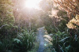 How the Heaphy Track become my new favorite Great Walk